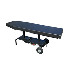 Load image into Gallery viewer, Electric Hydraulic Lift Massage Table – 2-Section, 24" Wide, 500 lb Capacity