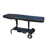 Electric Hydraulic Lift Massage Table – 2-Section, 24