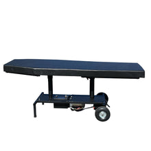 Load image into Gallery viewer, Electric Hydraulic Lift Massage Table – 2-Section, 24" Wide, 500 lb Capacity
